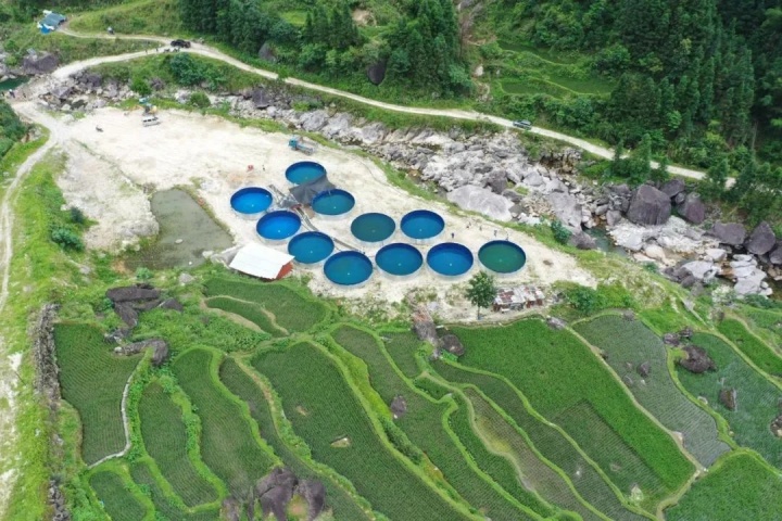 1929732729159606274.jpg 1929732729159606274.jpg